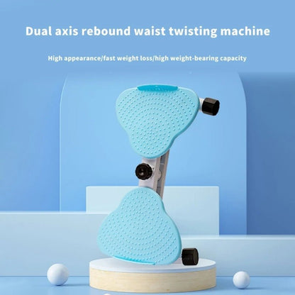 CoreTwist Fitness Board™ - NoveltyExpress